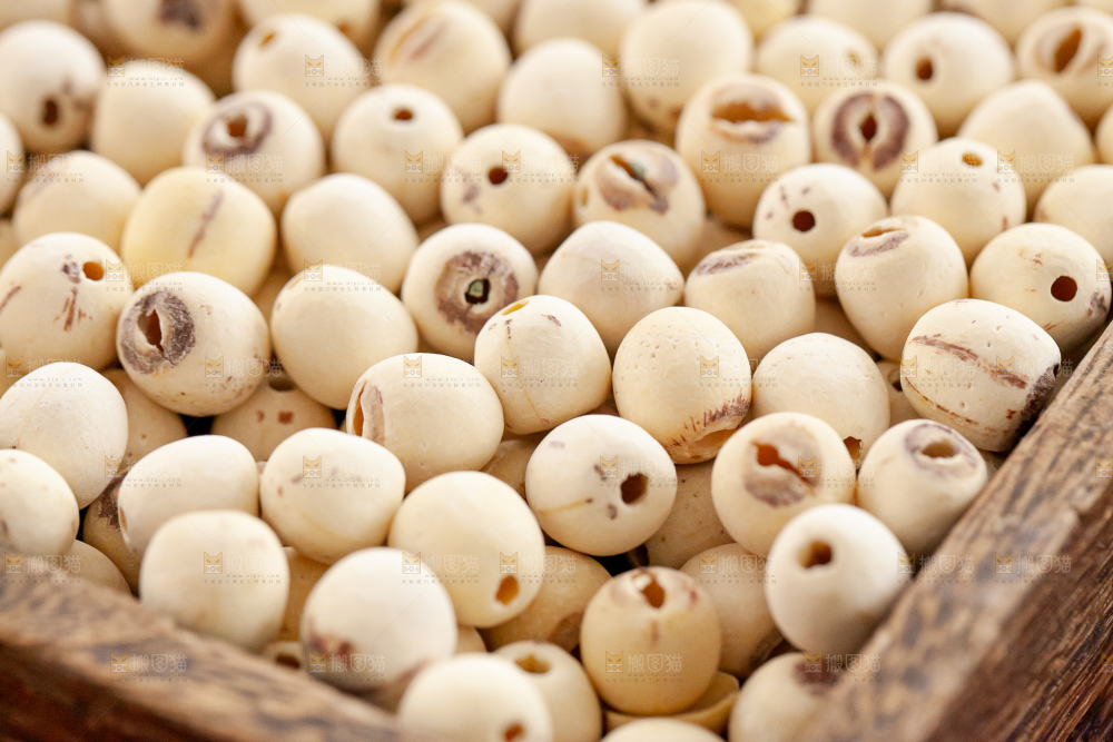 干莲子