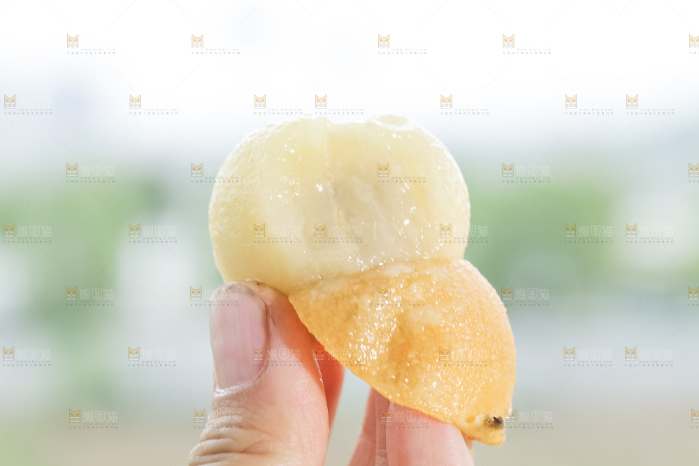 白玉枇杷