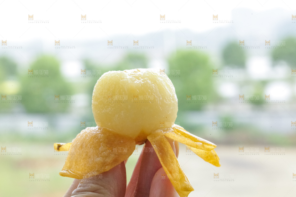 白玉枇杷
