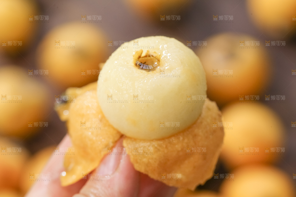 白玉枇杷