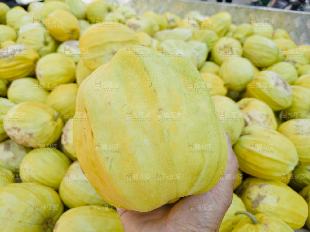 丑八怪香瓜