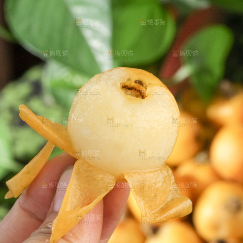 白玉枇杷