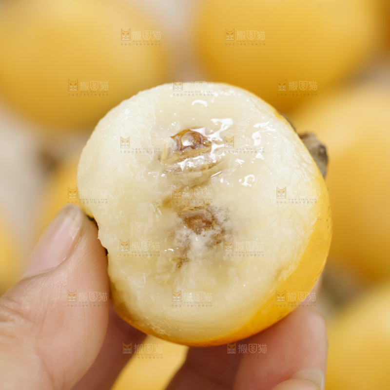 白玉枇杷