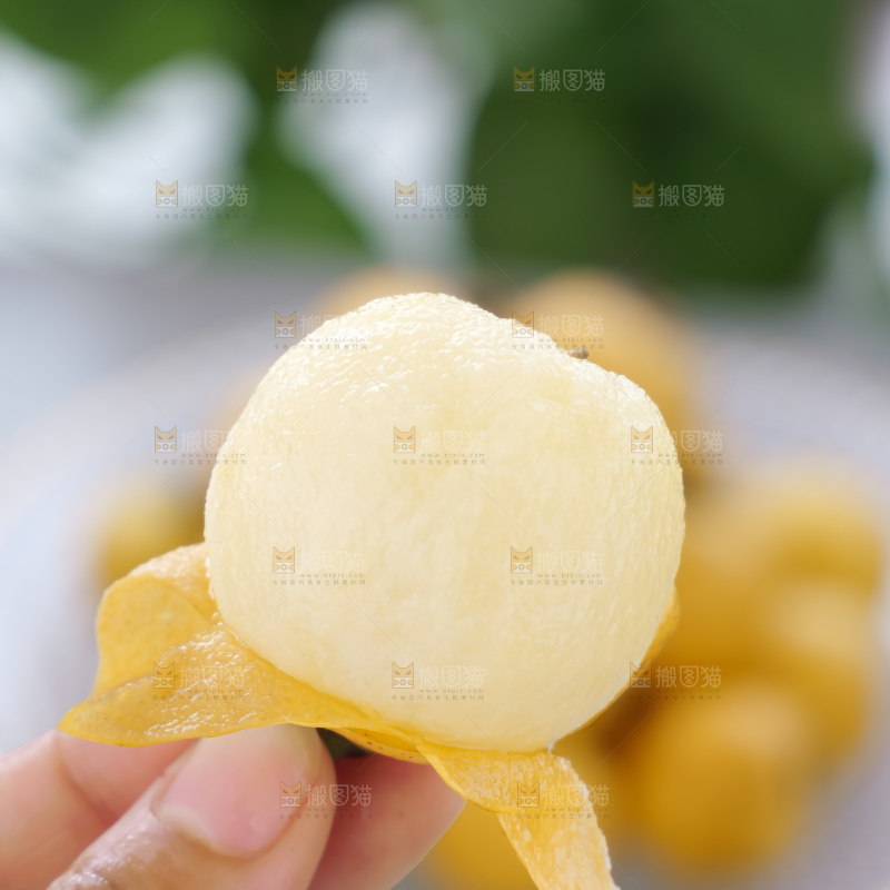 白玉枇杷