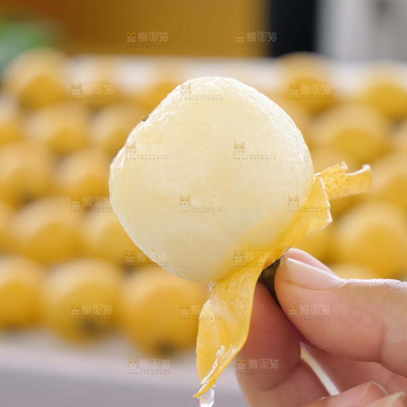 白玉枇杷