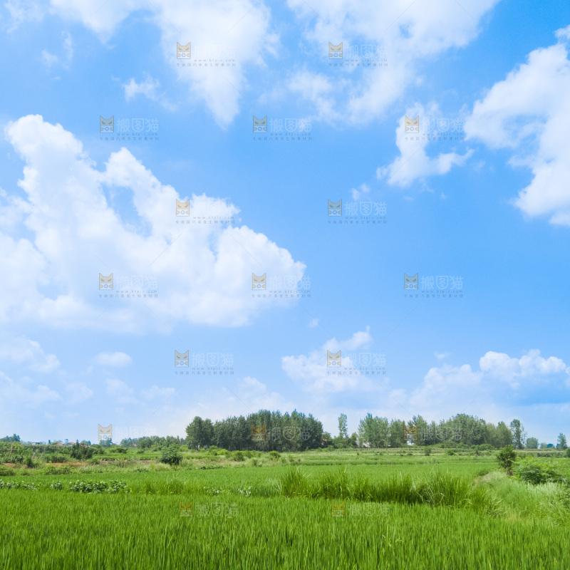 田园风光