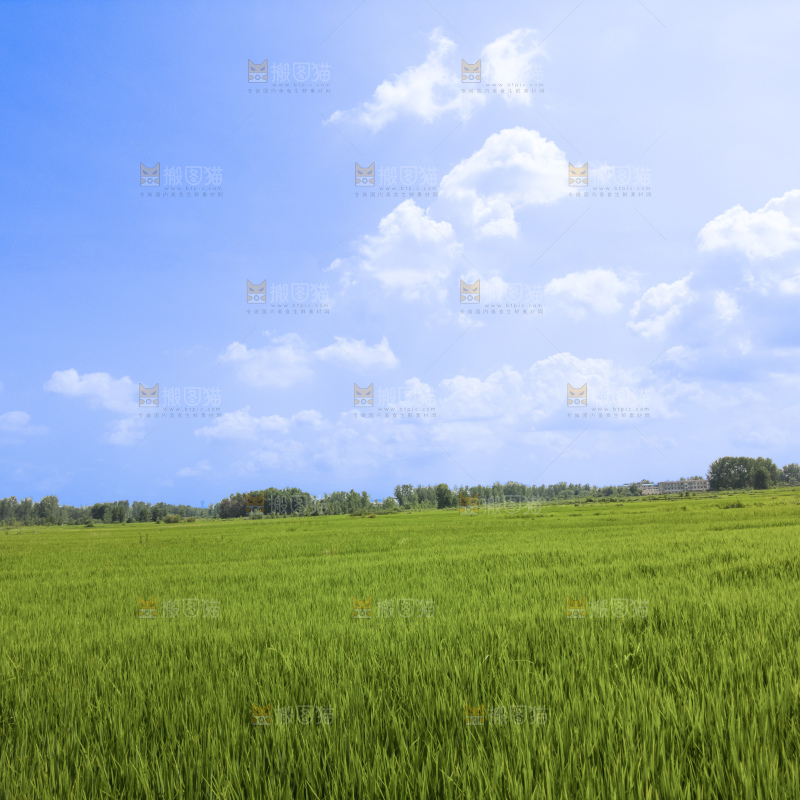 田园风光