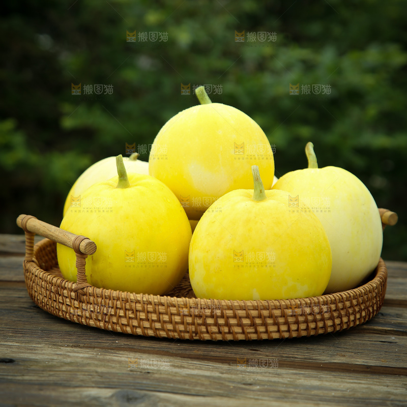 小蜜蜂甜瓜