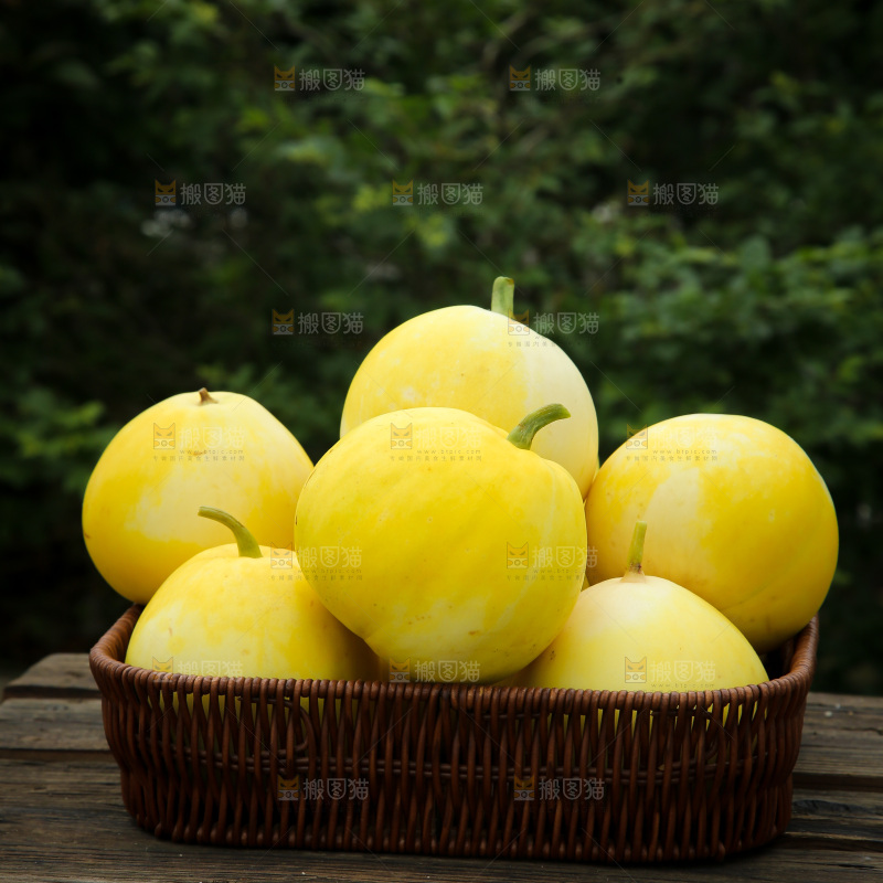 小蜜蜂甜瓜