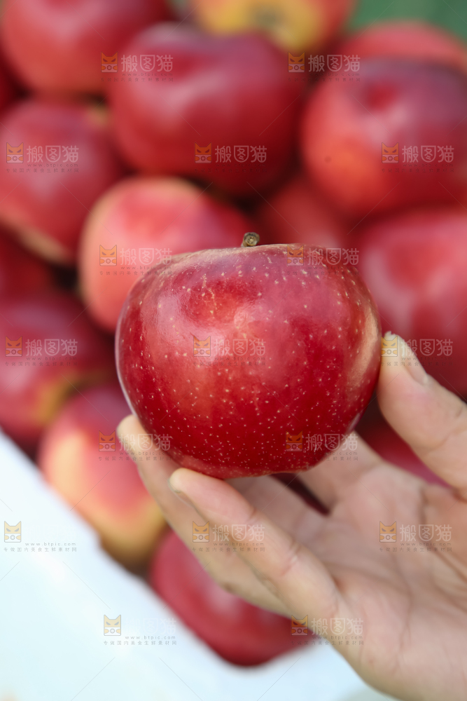 丹烁苹果