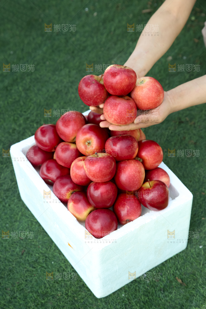 丹烁苹果