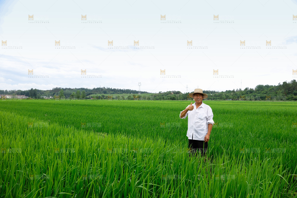科技农业