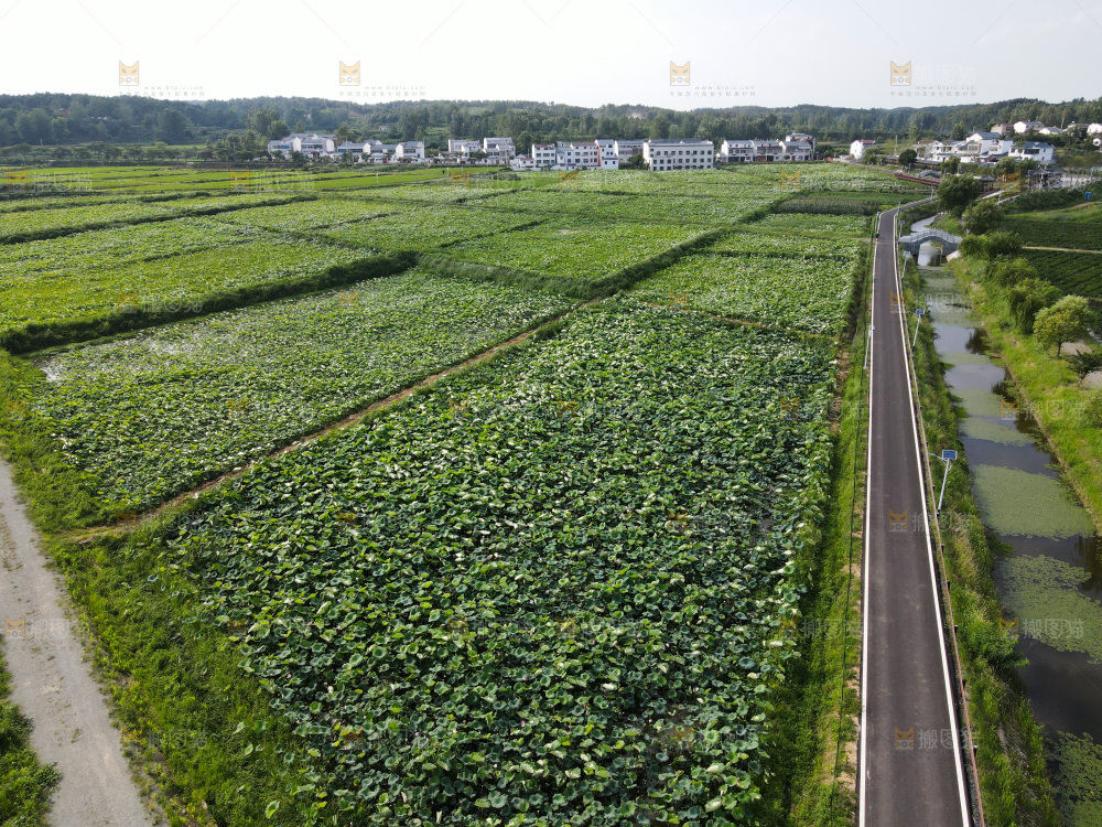田园风光
