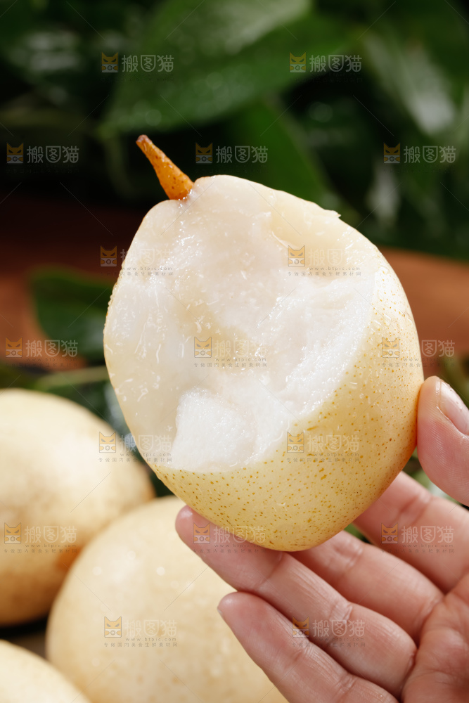 鸭梨