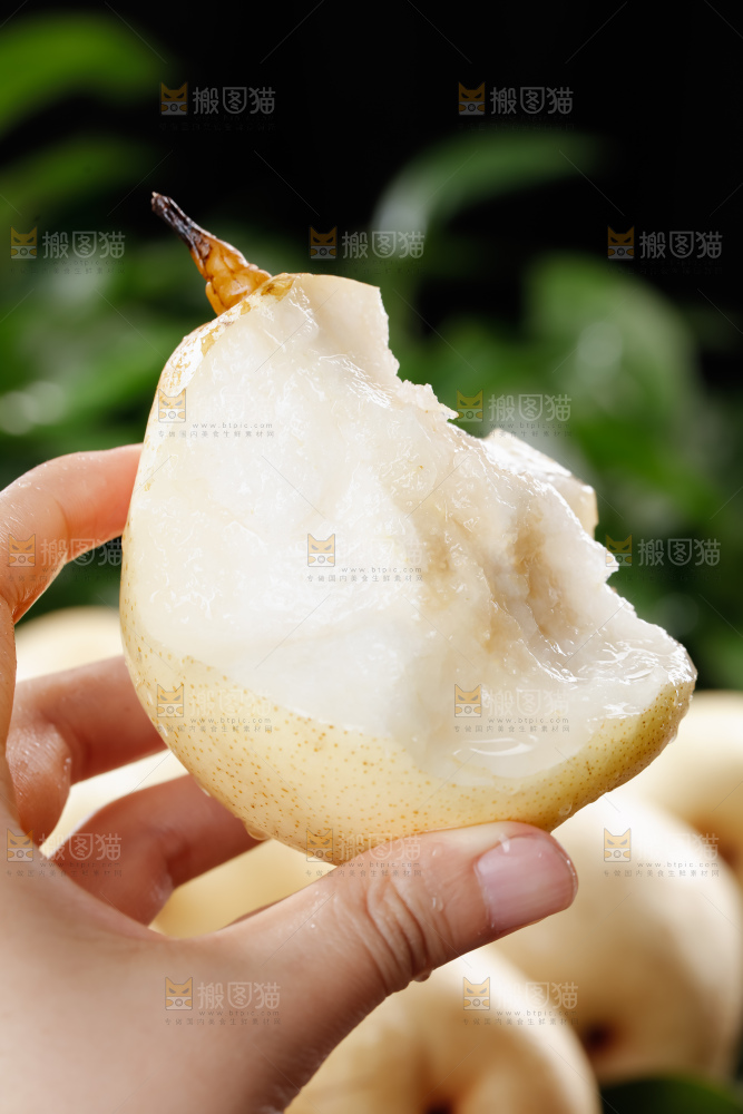 鸭梨