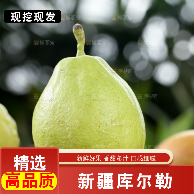 库尔勒香梨