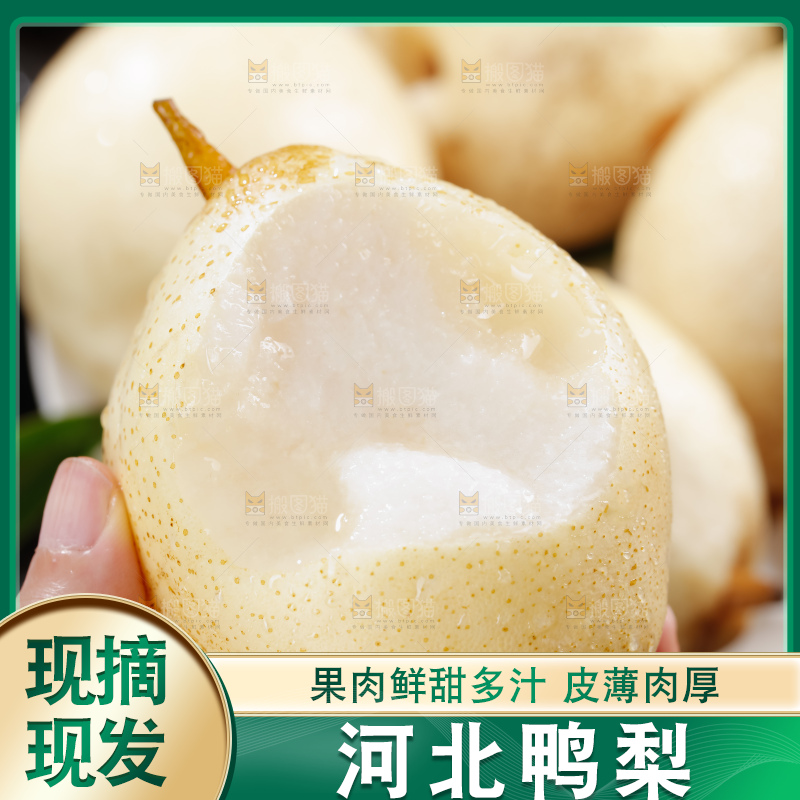 鸭梨