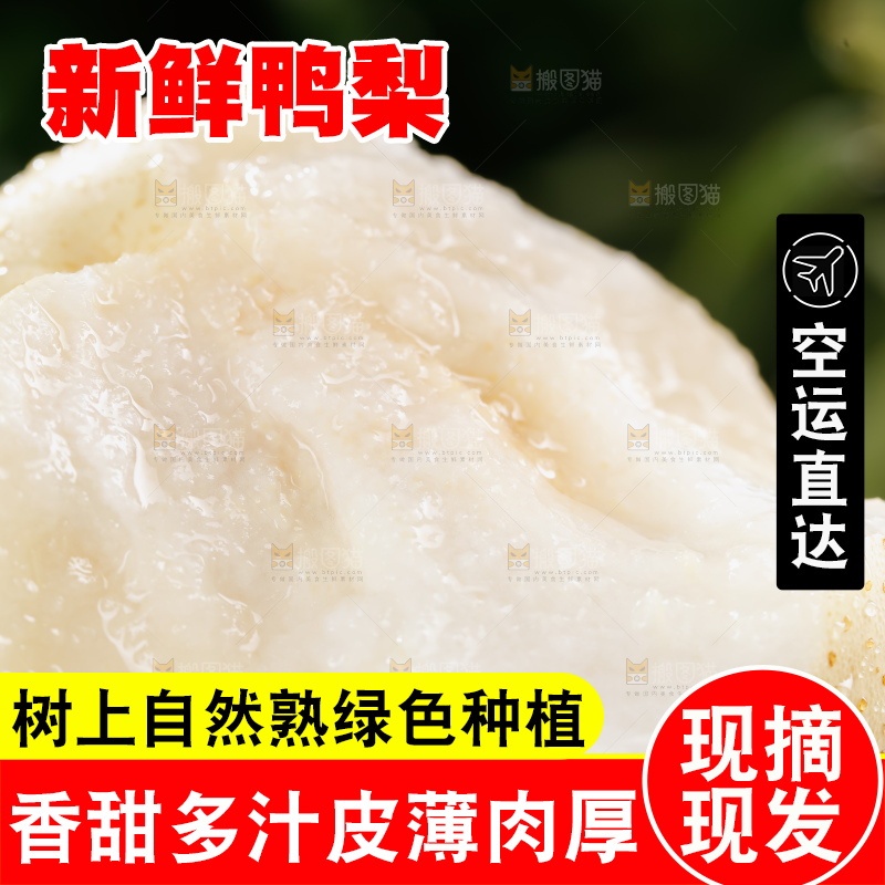 鸭梨