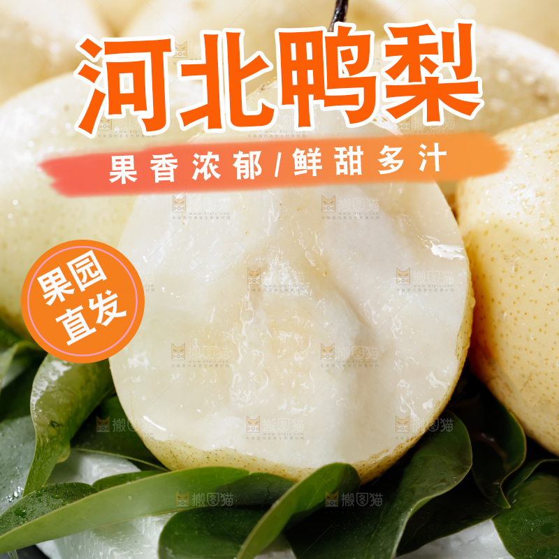 鸭梨