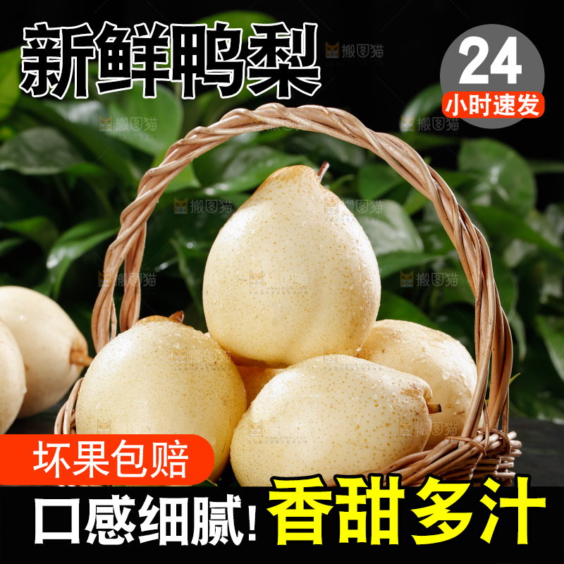 鸭梨
