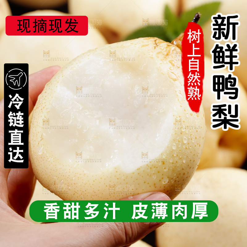 鸭梨