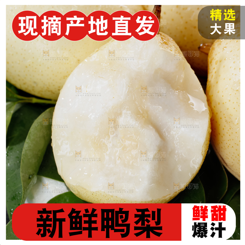 鸭梨