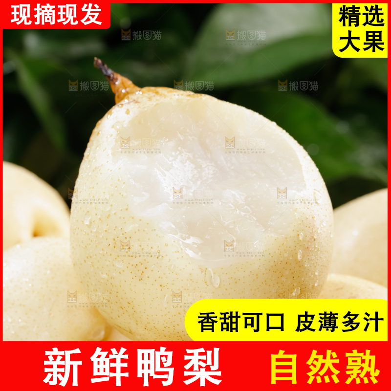 鸭梨