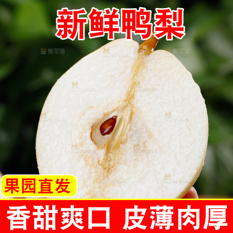 鸭梨