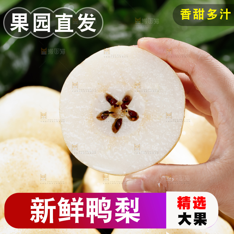 鸭梨