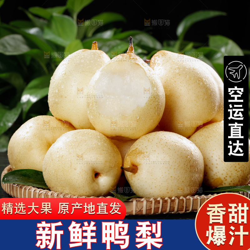 鸭梨