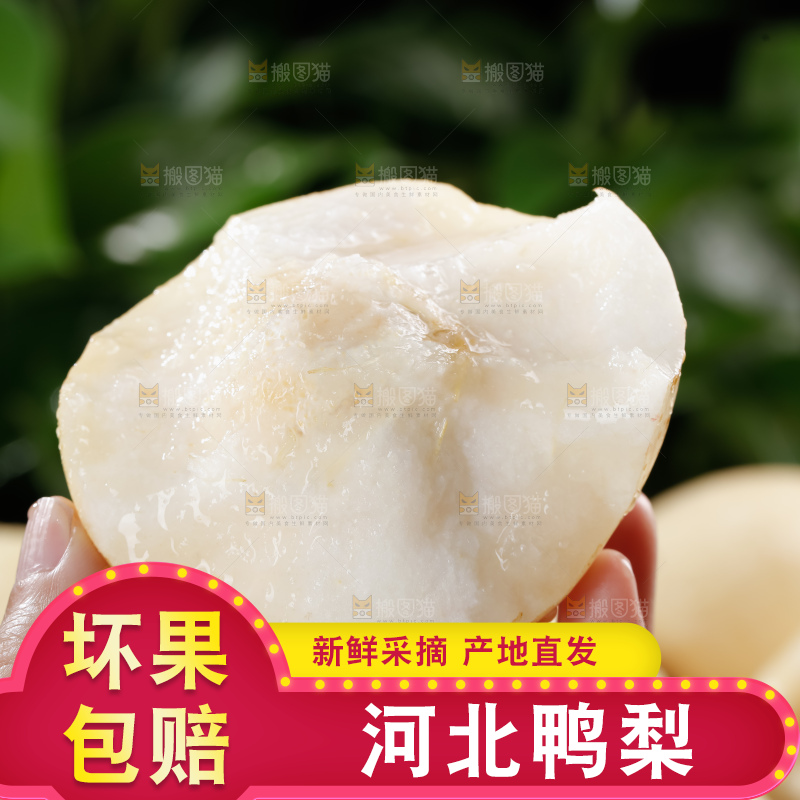 鸭梨