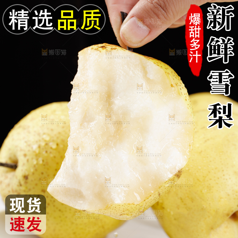 雪梨