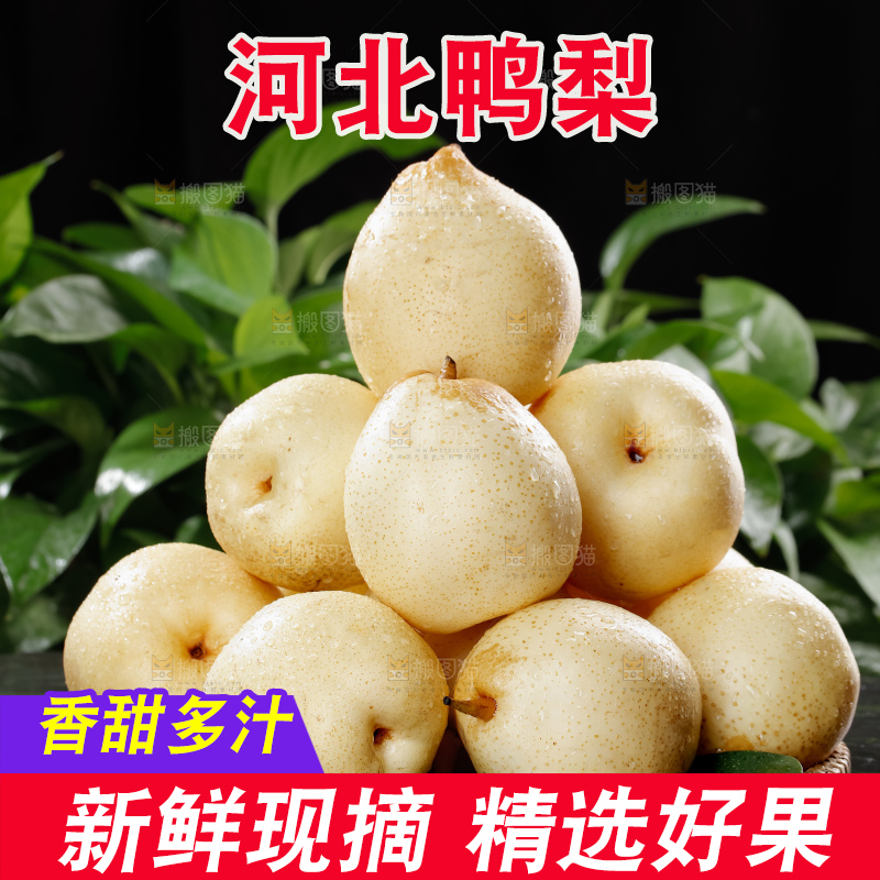 鸭梨