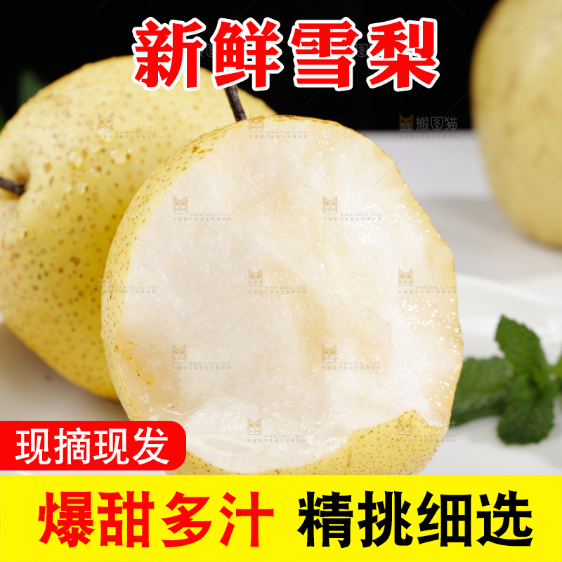 雪梨
