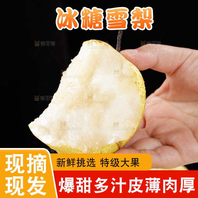 雪梨