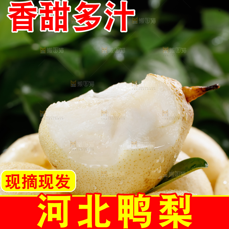 鸭梨