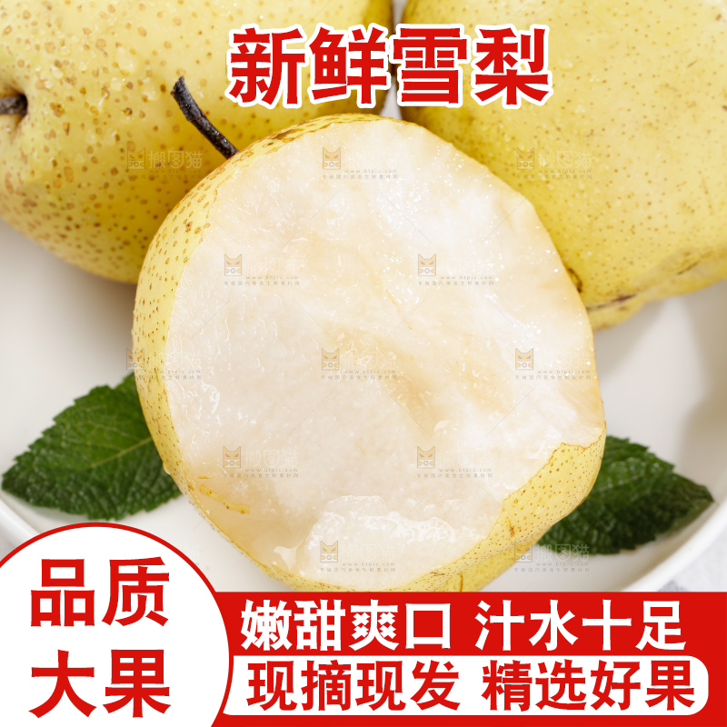 雪梨