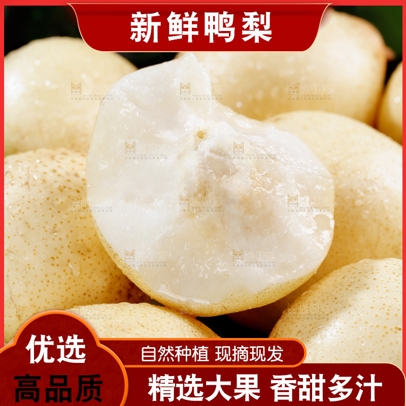 鸭梨