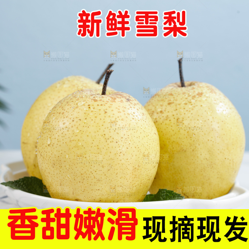 雪梨