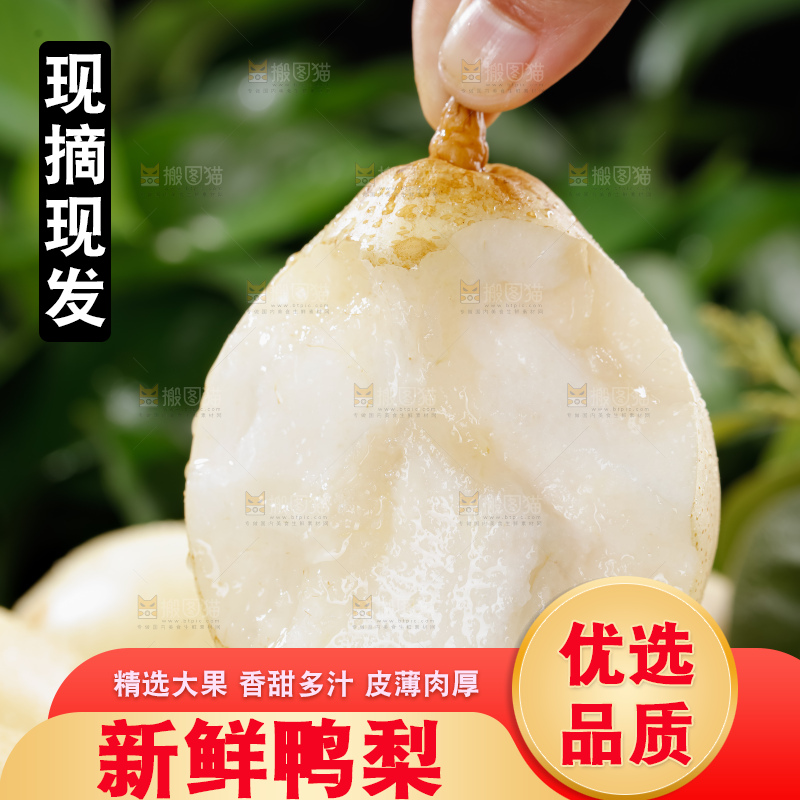 鸭梨