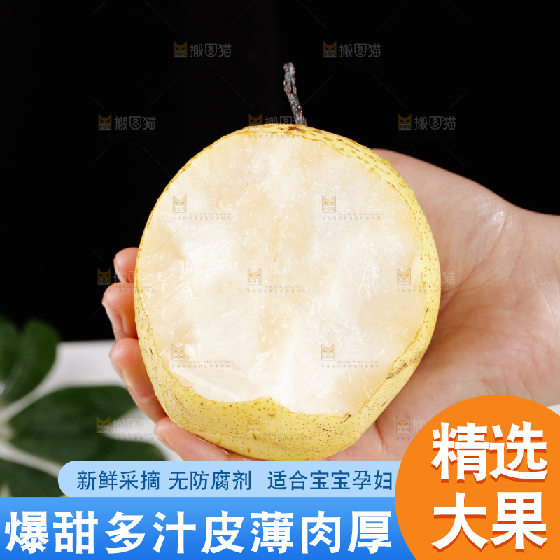 雪梨