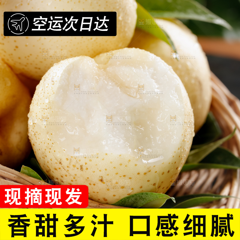 鸭梨