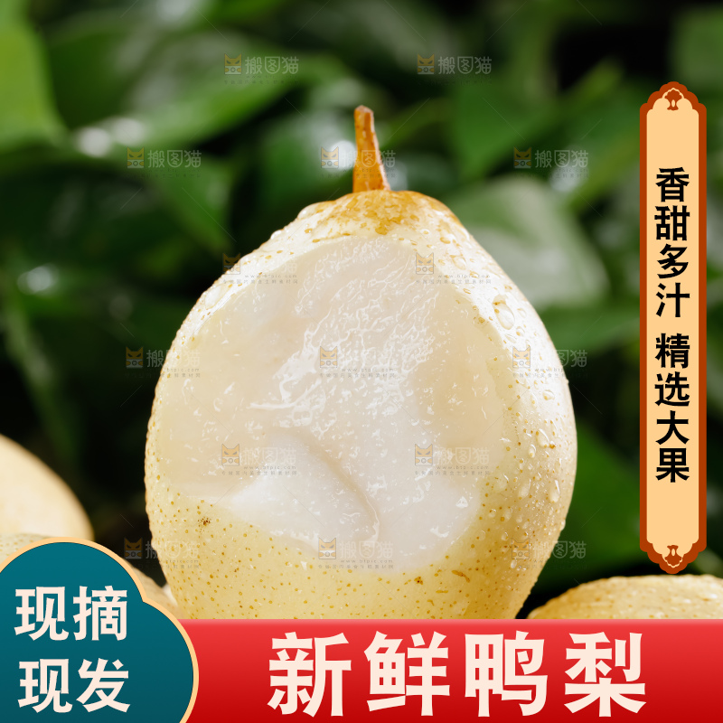 鸭梨