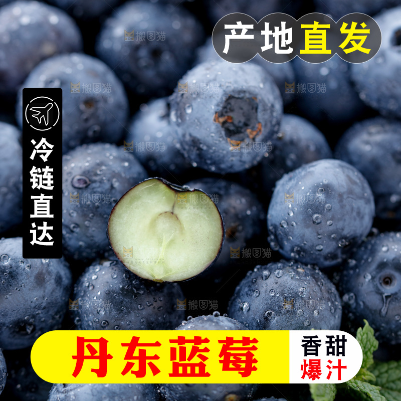 蓝莓