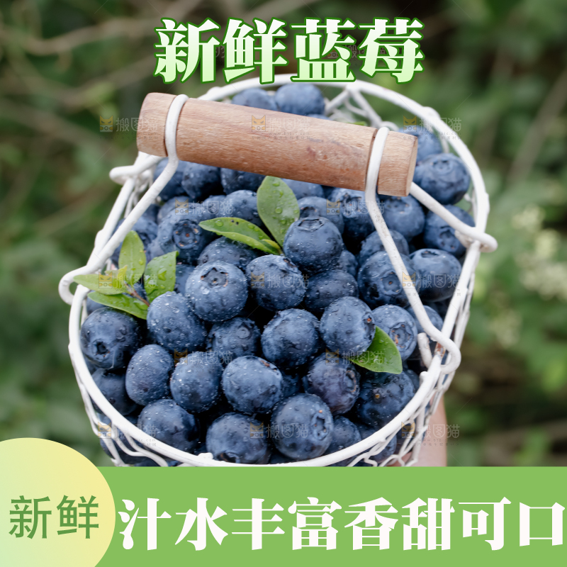蓝莓