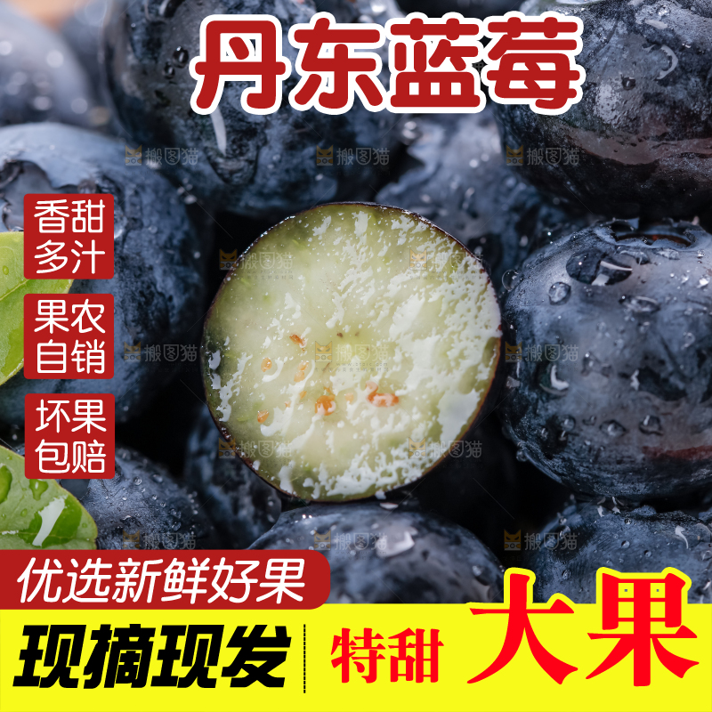 蓝莓