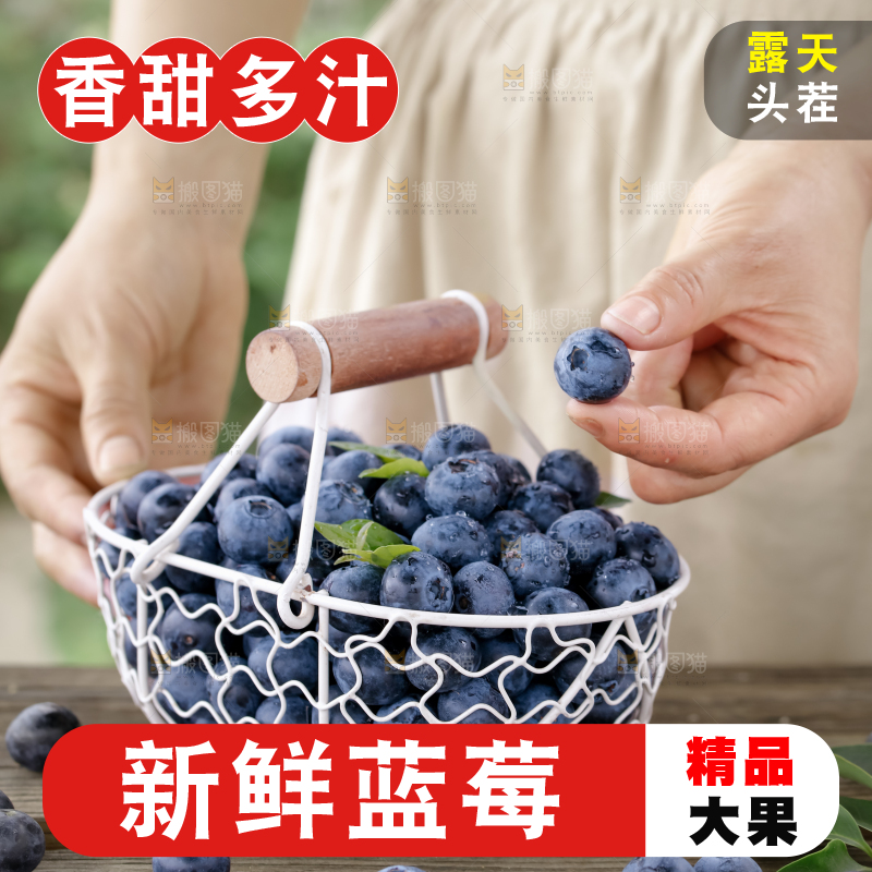 蓝莓