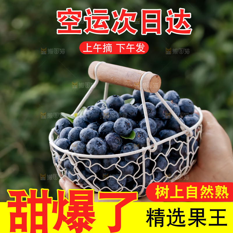 蓝莓
