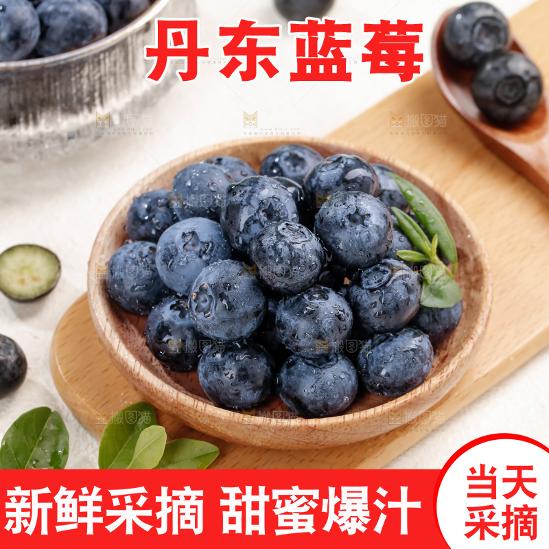 蓝莓
