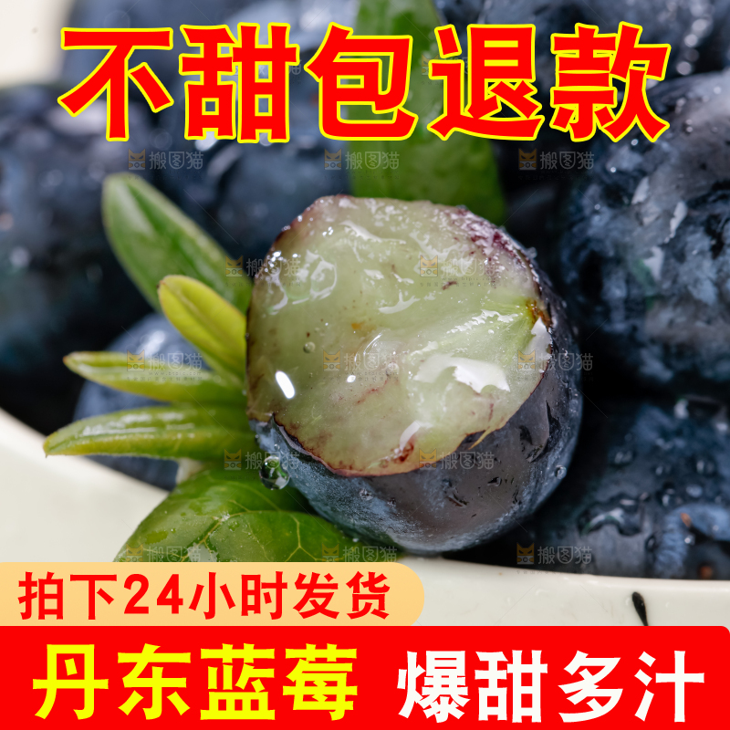 蓝莓